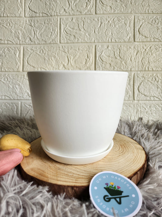 Fiber Plastic Pot with Tray (White)