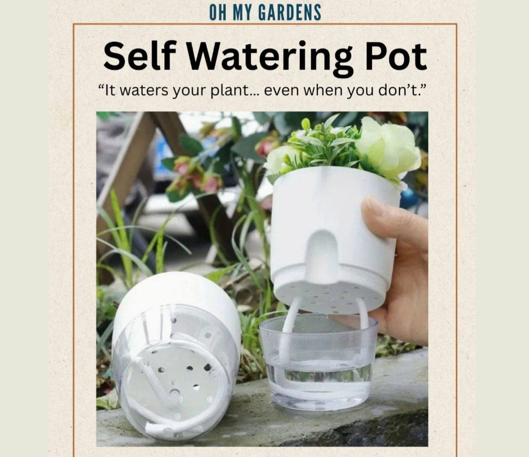 Self Watering Pot - Empty