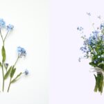 How to Make Forget Me Not Bouquet