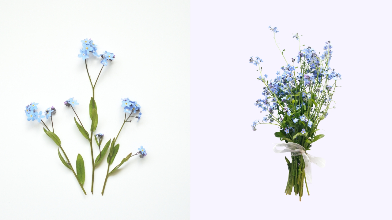 How to Make Forget Me Not Bouquet