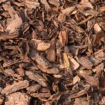 What Are Pine Bark Fines and How Are They Used in Gardening