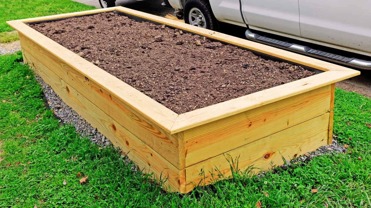 What is a Raised Bed in a Garden?