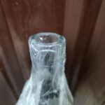 Bottle and Plastic Wrap Trap for fruit flies