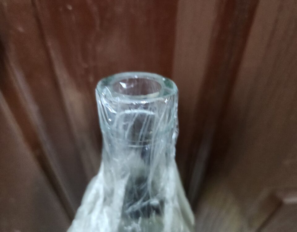 Bottle and Plastic Wrap Trap for fruit flies