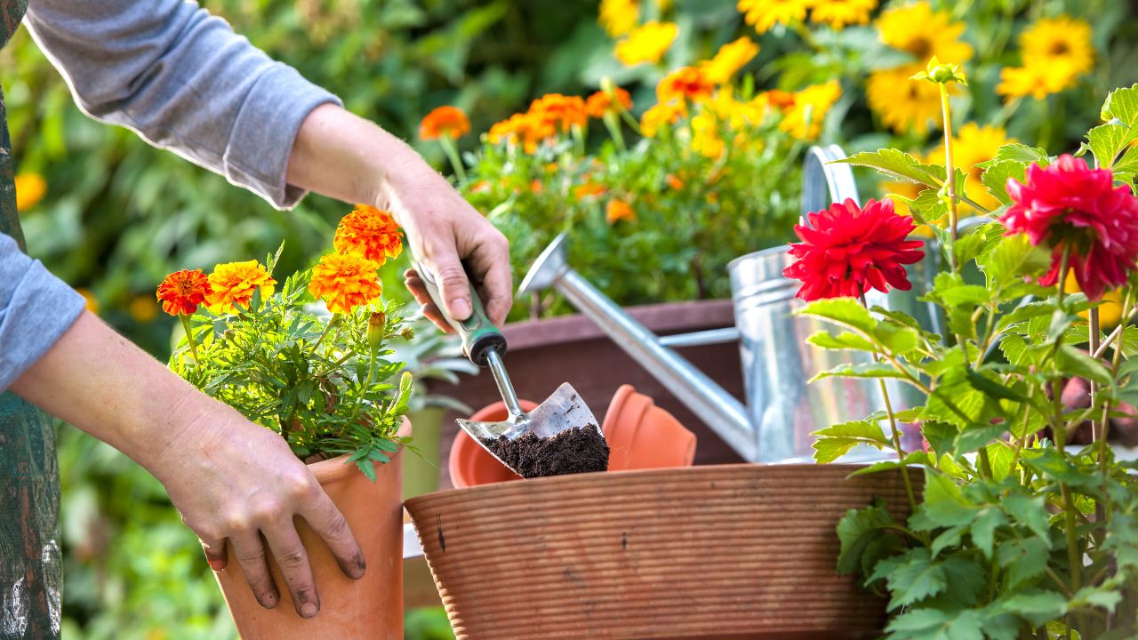 Flower Gardening Quiz