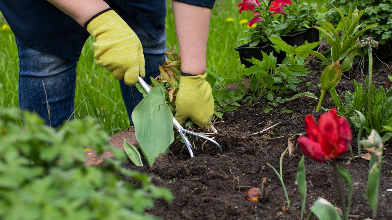 How to Prepare Soil for an Herb Garden