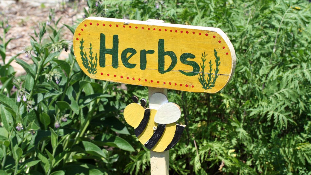 a yellow sign board with Herbs and a bee What is Indoor Herb Gardening