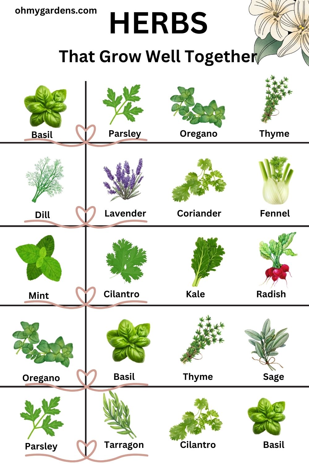 list of herbs that grow well together