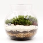 Decorative Elements in the terrarium