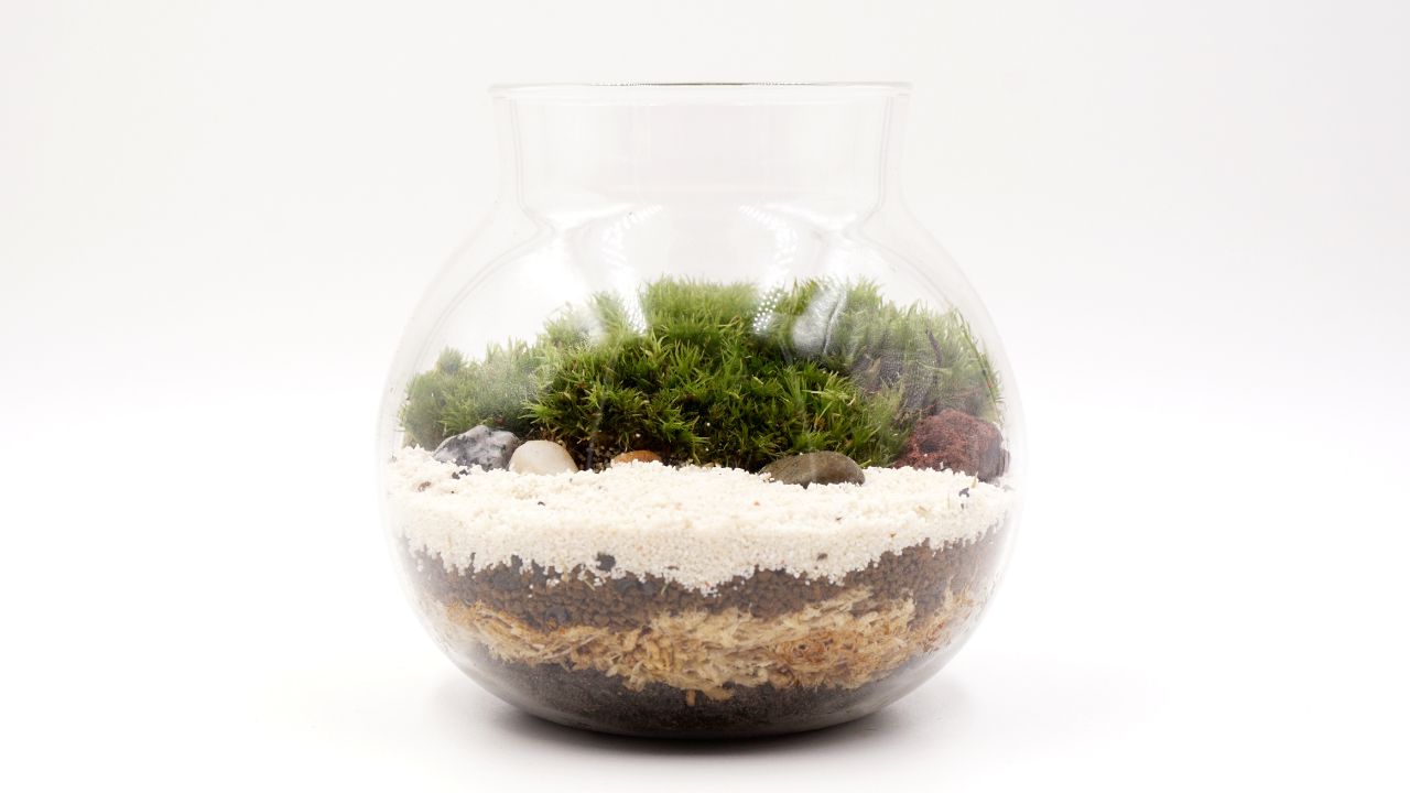 Decorative Elements in the terrarium