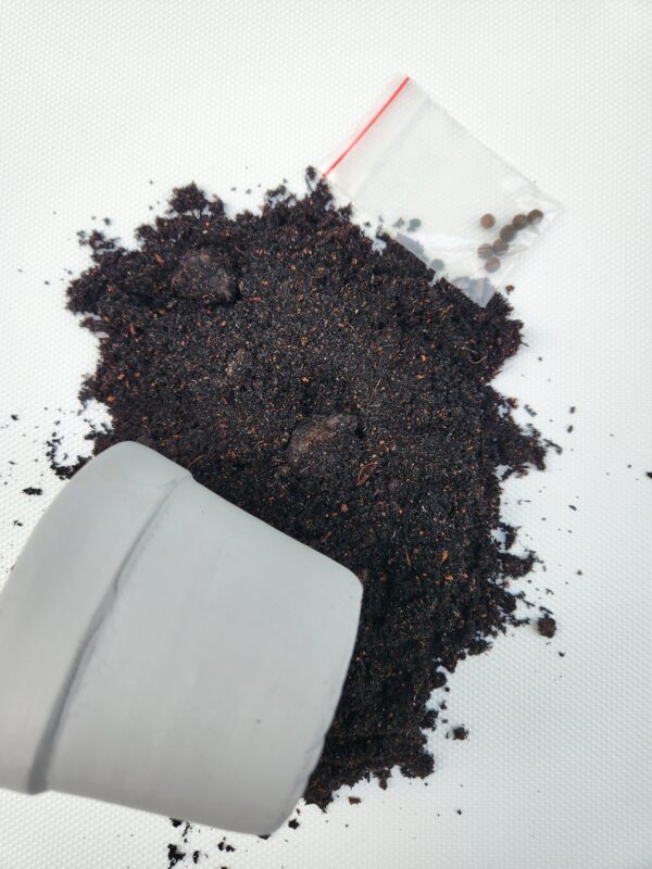 Seedling Kit- 1 pc - Image 3