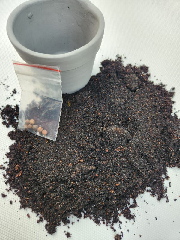 Seedling Kit- 1 pc - Image 2