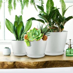 plastic planter pots