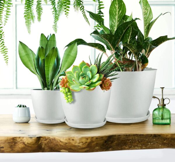 plastic planter pots