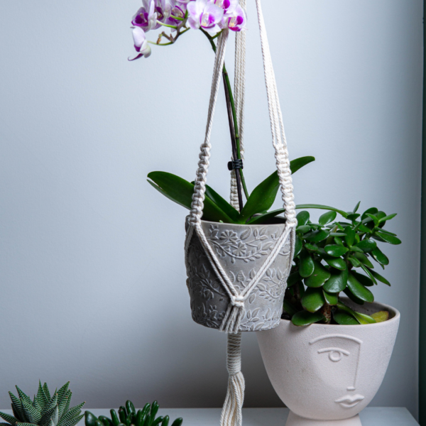 macrame plant hanger with a grey pot